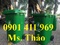 [2] Thùng rác 2 bánh xe, thùng rác công cộng, thùng rác nhựa composite tại Tp. HCM