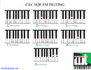 Tp. Hồ Chí Minh: Các hợp âm cơ bản trên đàn piano CL1630986P12