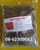 Tp. Hồ Chí Minh: Nấm NGỌC CẨU-Dùng để bổ thận tráng dương, tăng sinh lý tốt CL1580894