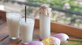 Công Bố Tiêu Chuẩn Chất Lượng Sữa Hạt Sen