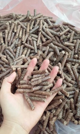 Sản xuất, phân phối và xuất khẩu viên nén gỗ (wood pellets) chất lượng tốt