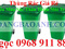 [5] thùng nhựa màu xanh, cam 95L, 240L, xe gom rác, xe chở rác 400L, 660L