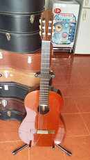 Tp. Hồ Chí Minh: Guitar Yamaha Grand Concert CL1660066P11