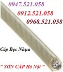 Tp. Hà Nội: Bán dây cáp lụa bọc nhựa Hà Nội 0913. 521. 058 cáp bọc nhựa sân Bóng RSCL1192642