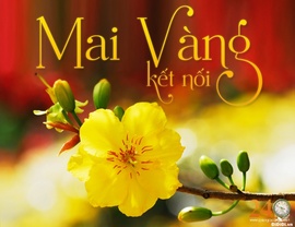 Vườn Mai Quận 12