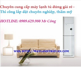 Đơn vị chuyên về cung cấp và thi lắp Máy lạnh tủ đứng cho nhà hàng, khách sạn