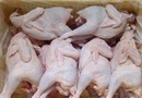 Tp. Hà Nội: Bán thịt gà nguyên con tại hà nội giá rẻ CL1438652