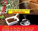 Lâm Đồng: Bán cà phê nguyên chât tại Đà Lạt RSCL1024212