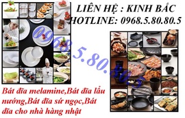 Cung cấp bát đĩa melamine, bát đĩa nhựa phíp miễn phí giao hàng toàn quốc