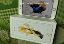 Tp. Hồ Chí Minh: Bán Iphone 6S Plus Gold, mới gần 100%, full box nguyên seal CL1621773P5