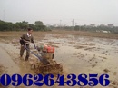 Tp. Hà Nội: Cung cấp máy xới đất chạy dầu dàn xới trước 1Z41A chạy khỏe hiệu quả giá rẻ CL1630306P10