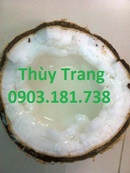 Tp. Hồ Chí Minh: Dừa đặc ruột Cầu Kè tại Tp. hcm CL1616454