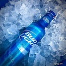 Tp. Hồ Chí Minh: Bia Bud Light 850. 000đ nhập khẩu từ Mỹ. CL1622558P11