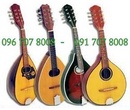 Bình Dương: Bán Đàn Mandolin Các Loại Tại Nụ Hồng 4 Bình Dương RSCL1650996