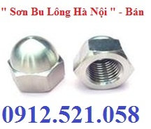 Bán Đai ốc mũ Inox Hà Nội 0912.521.058 Ê cu mũ thép mạ kẽm, bu lông 8.8