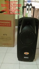 Tp. Hồ Chí Minh: loa temeisheng A73 CL1660073P7