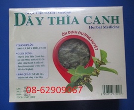 Dây Thìa Canh- dùng để chữa bệnh tiểu đường hay