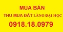 Tp. Hồ Chí Minh: $^$ Bán đất nhà phố Làng Đại Học Nhà Bè 250m2 Giá: 26 triệu/ m CL1632091