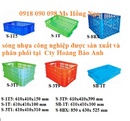 Tp. Hồ Chí Minh: sản xuất giỏ nhựa, thùng nhựa, sóng nhựa công nghiệp, thùng nhựa HDPE CL1632480P8