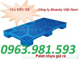 pallet, pallet nhựa, pallet nhựa 2 mặt, pallet nhựa mặt bông, pallet lots sàn