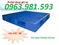 [1] pallet, pallet nhựa, pallet nhựa 2 mặt, pallet nhựa mặt bông, pallet lots sàn