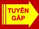 Tp. Hồ Chí Minh: HCM Tuyển Gấp NV Post bài lên mạng 2-3h/ ngày lương 7tr/ tháng ổn định CL1636060