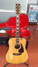 Tp. Hồ Chí Minh: Bán guitar Morris 810 TF Nhật CL1666047P5