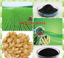 Tp. Hồ Chí Minh: Axit hữu cơ, phân bón KALI HUMATE , axithumic và axit fulvic CL1652046P7