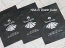 Tp. Hà Nội: In túi nilon giá rẻ CL1599760P6