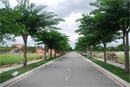 Tp. Hồ Chí Minh: ^*$. ^ Cần bán đất đường Bưng Ông Thoàn gần nhà máy Samsung Quận 9 CL1647242P2