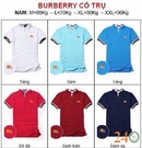 Tp. Hồ Chí Minh: Chuyên Cung Cấp Sỉ & Lẻ Áo Thun Polo Hươu, Tommy, Tommy Sọc, Adidas, Aber 2015, CL1096089P6