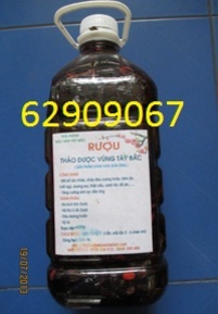 Rượu đặc biệt vùng Tây Bắc- Tăng sinh lý mạnh, bồi bổ sức khỏe, ngừa bệnh tốt