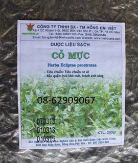 Trà cỏ mực- Chữa chảy máu cam, cầm máu, chữa Can, Thận, Âm hư