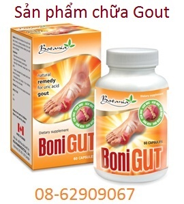 BONI GOUT- Sử dụng chữa bệnh GOUT, kết quả tốt, giá rẻ