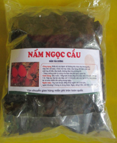 Nấm Ngọc CẨU, chất lượng nhất- Tăng sinh lý mạnh, tráng dương, bổ thận, giá rẻ