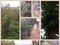 [3] Cần bán nhà vườn diện tích 10. 000m (1ha) tại xã Trần Phú, Huyện Chương Mỹ, HN