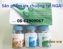 Tp. Hồ Chí Minh: Có bán Renaissence Triple SET- Giúp cân bằng, chống lão hóa, thải độc tốt CL1649757P11