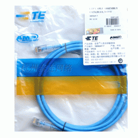 Patch Cord AMP Cat 6E 3m