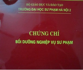 Tuyển sinh lớp bồi dưỡng Nghiệp vụ sư phạm, quản lý mầm non 0981116315