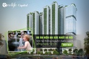 Tp. Hà Nội: %*$. % Ecolife Capitol, ngôi nhà xanh tiện nghi giữa Hà Nội - đăng ký xem nhà mẫu CL1656230