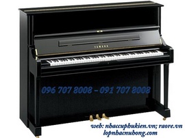 Đàn Piano Siêu Đẹp Giá Rẻ Tại Bình Dương Lh 0967078008