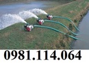 Tp. Hà Nội: chuyên bán các loại máy bơm nước chính hãng giá rẻ CL1658501P2