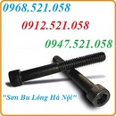 Tp. Hà Nội: 0913. 521. 058 cung cấp lục giác chìm M20 ren 1. 5, M24 ren 2. 0 ren mịn Ha Noi CL1658223P2