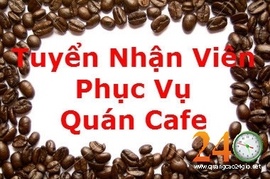 Tuyển Nhân Viên Phục Vụ Quán Cafe Phú Nhuận tphcm