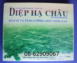 Diệp Hạ Châu-Giúp làm hạ men gan, rất ưa dùng hiện nay