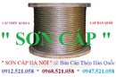 Tp. Hà Nội: Bán Cáp thép Hà Nội rẻ 0912. 521. 058 cáp thép cẩu, cáp thép Hàn Quốc CL1665107P16