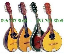 Bán Đàn Mandolin Các Loại Siêu Đẹp Giá Rẻ Nhất Tại Nụ Hồng 4 Bình Dương