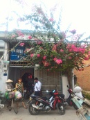 Tp. Hồ Chí Minh: Đi nước ngoài bán gấp nhà riêng giá rẻ 900tr tại Trung Chánh, Hóc Môn CL1663704P5