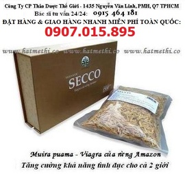 Thảo dược SECCO trị chứng mềm & liệt dương hiệu quả