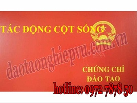 chứng chỉ tác động cột sống